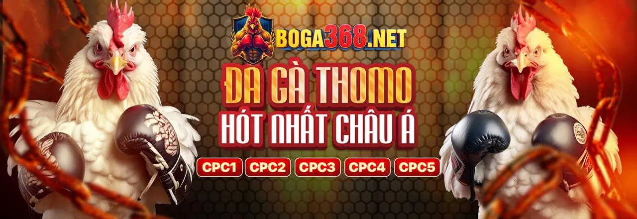 Đá gà trực tiếp Vi68 - trải nghiệm đấu trường đỉnh cao 2026